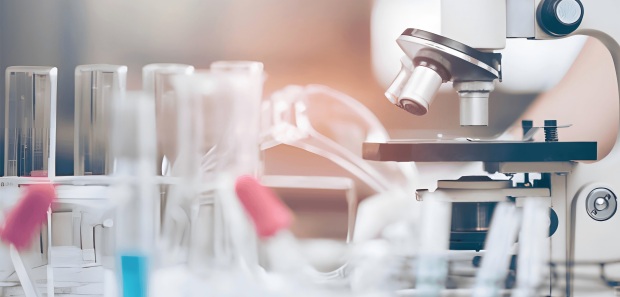 Ascent Petrochem Holdings Co., Limited