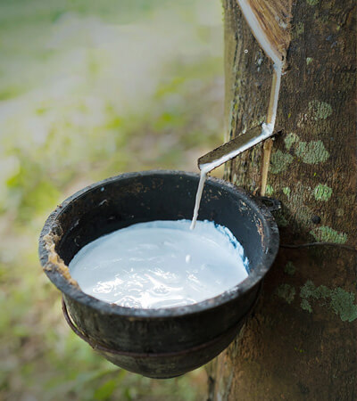 Ascent Petrochem Holdings Co., Limited